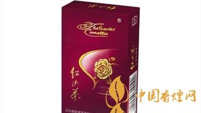 紅山茶紫市值多少錢？紅山茶紫口味如何？