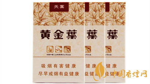 2020黃金葉天葉怎么樣？黃金葉大小天葉有什么不同