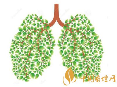 相比癌癥慢阻肺疾病離吸煙者更近！