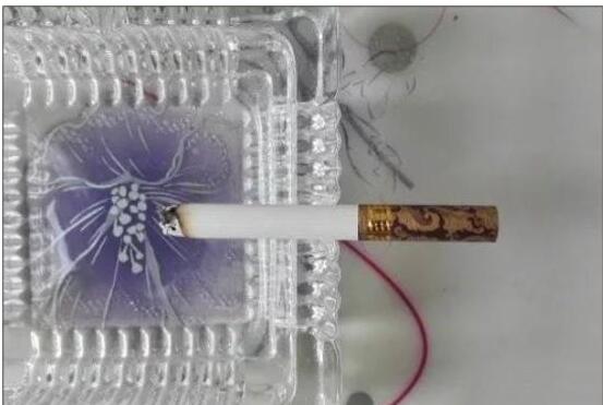 黃鶴樓漫天游，除了短貴沒別的毛病