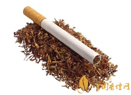 傳統(tǒng)煙草未來(lái)發(fā)展怎樣 傳統(tǒng)煙草發(fā)展需與流行趨勢(shì)結(jié)合！