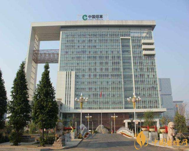 3.5億煙民1年為國家貢獻(xiàn)1.2億！專家：卷煙太便宜，要漲價